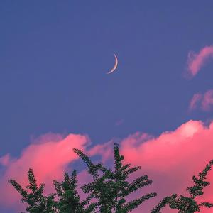 青青青国产免费频在线观看
