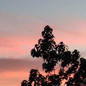 青青青国产免费频在线观看
